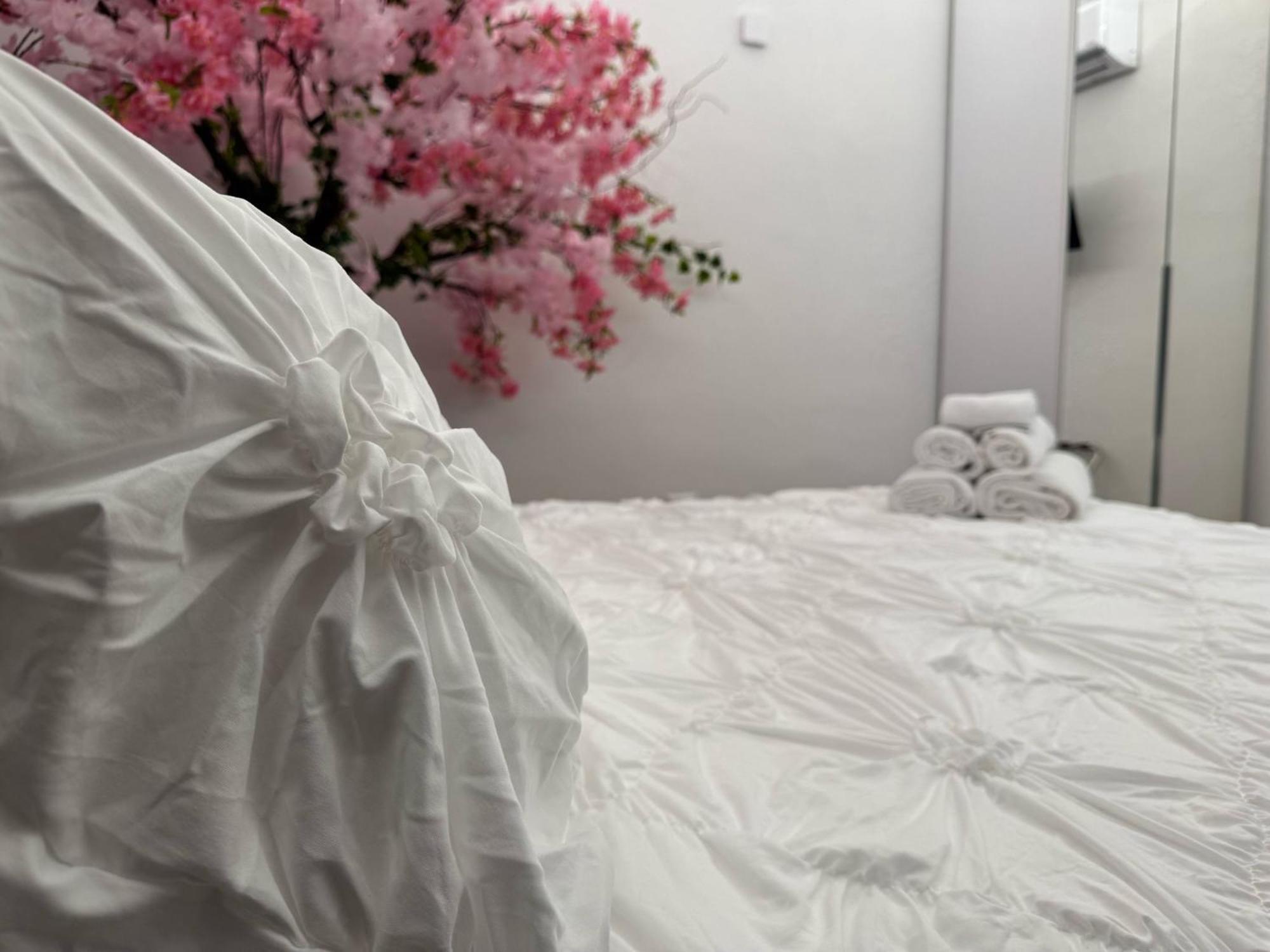 קטאניה B&B I Mori מראה חיצוני תמונה